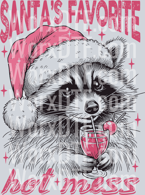 raccoon xmas full color