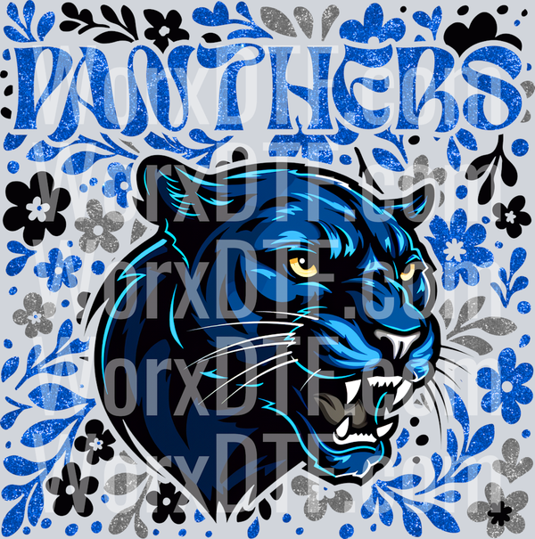 Carolina Panthers