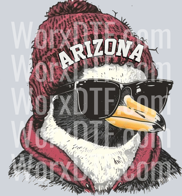ARIZONADESIGN