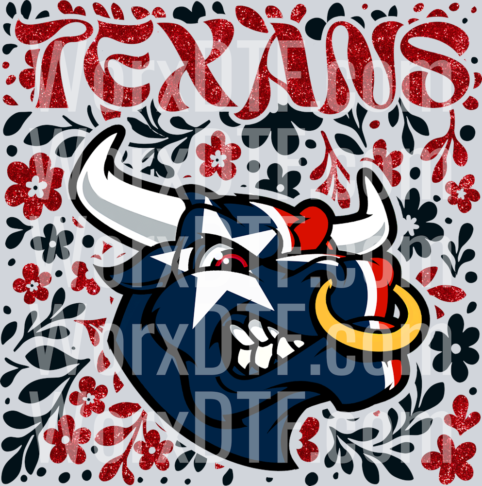 Houston Texans